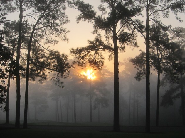 Augusta National Sunrise